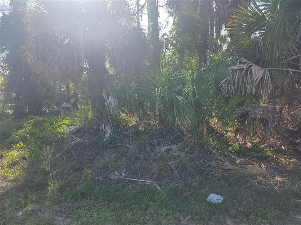 Vacant Land in North Port - land for sale