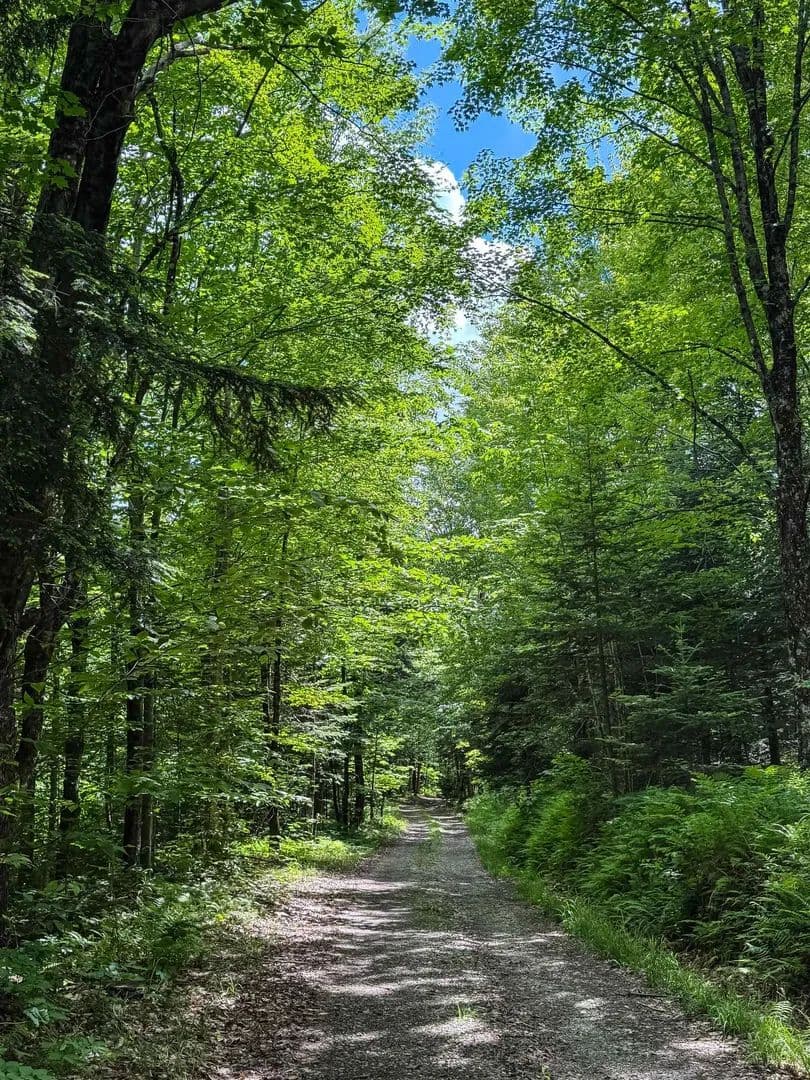 15.4 Acres of Land for Sale in Lowell, VT - Lowell, Vermont, 05847