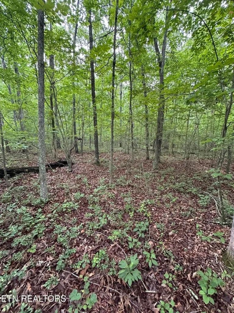 Property from 935 Veho Cir - KW - Crossville, Tennessee, 38572