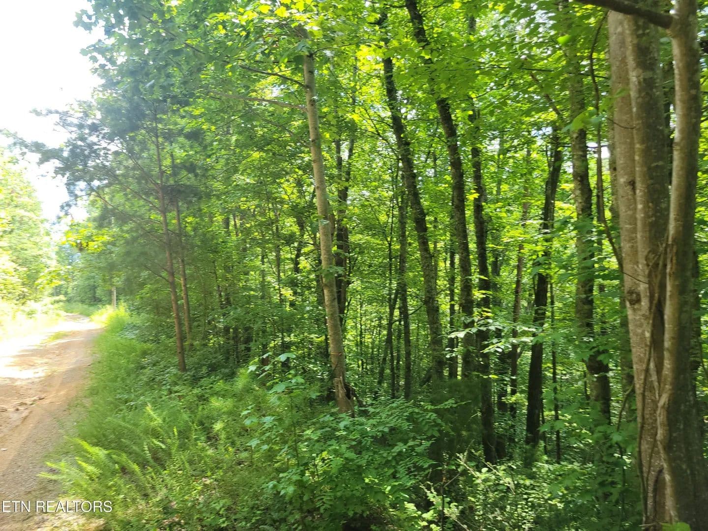 0.3 Acres of Land for Sale in Sevierville, Tennessee - Sevierville, Tennessee, 37876