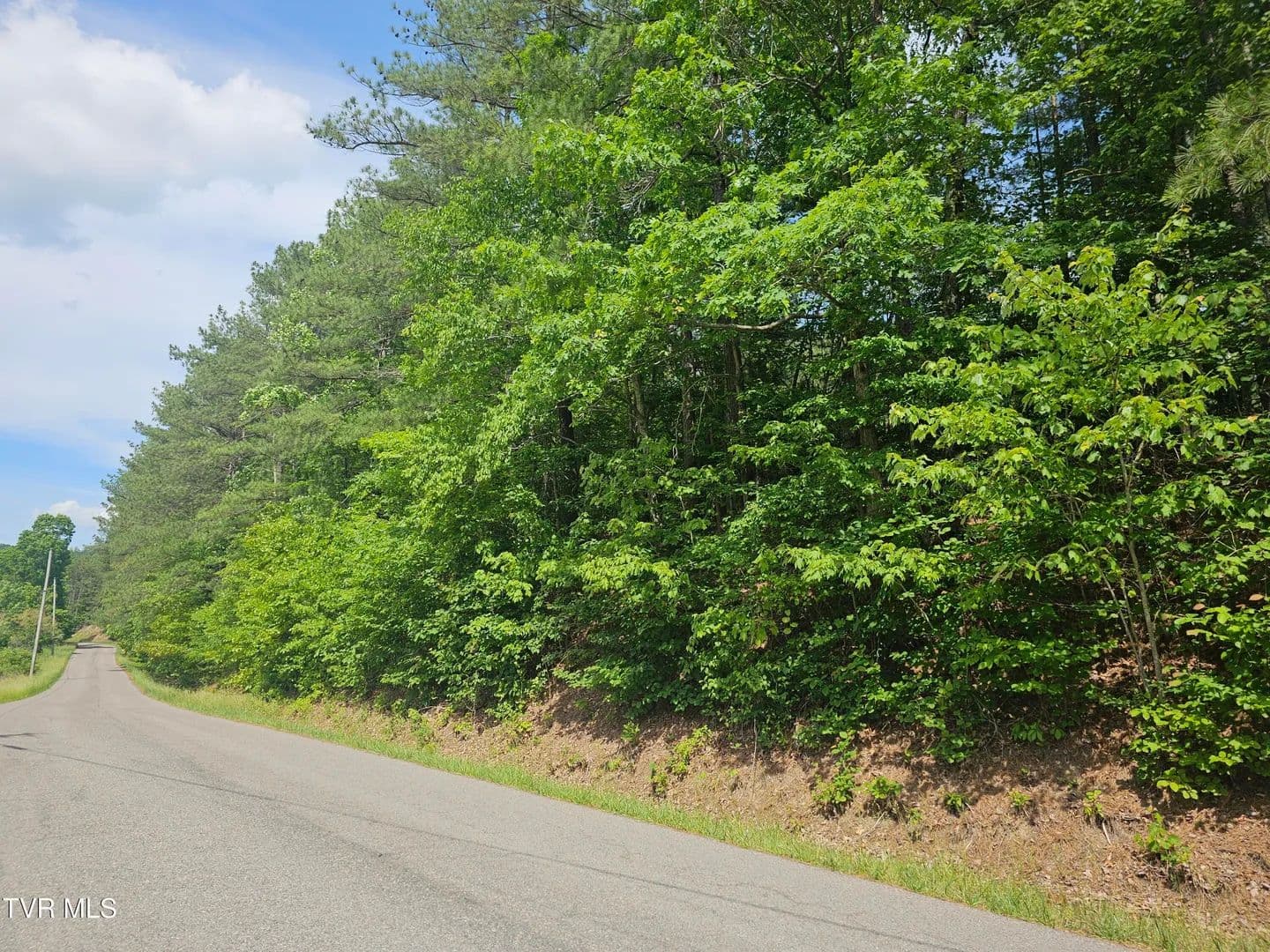 Property from Tbd Old Hurricane Road - KW - Wise, Virginia, 24293