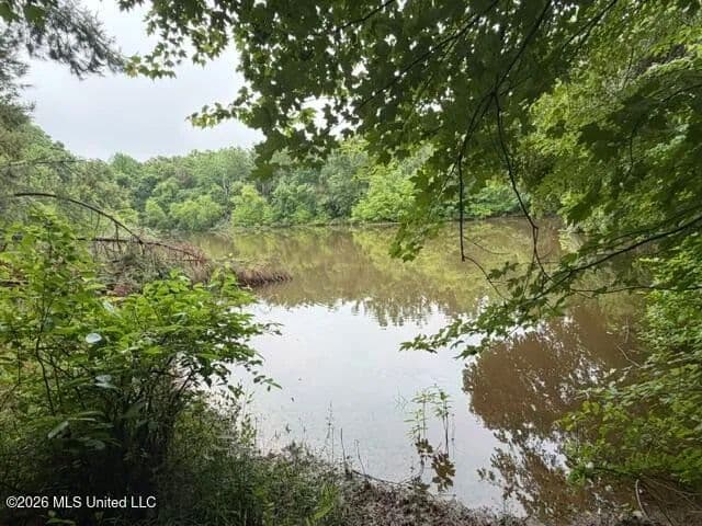 26 Acres of Land for Sale in Potts Camp, Mississippi - Potts Camp, Mississippi, 38659
