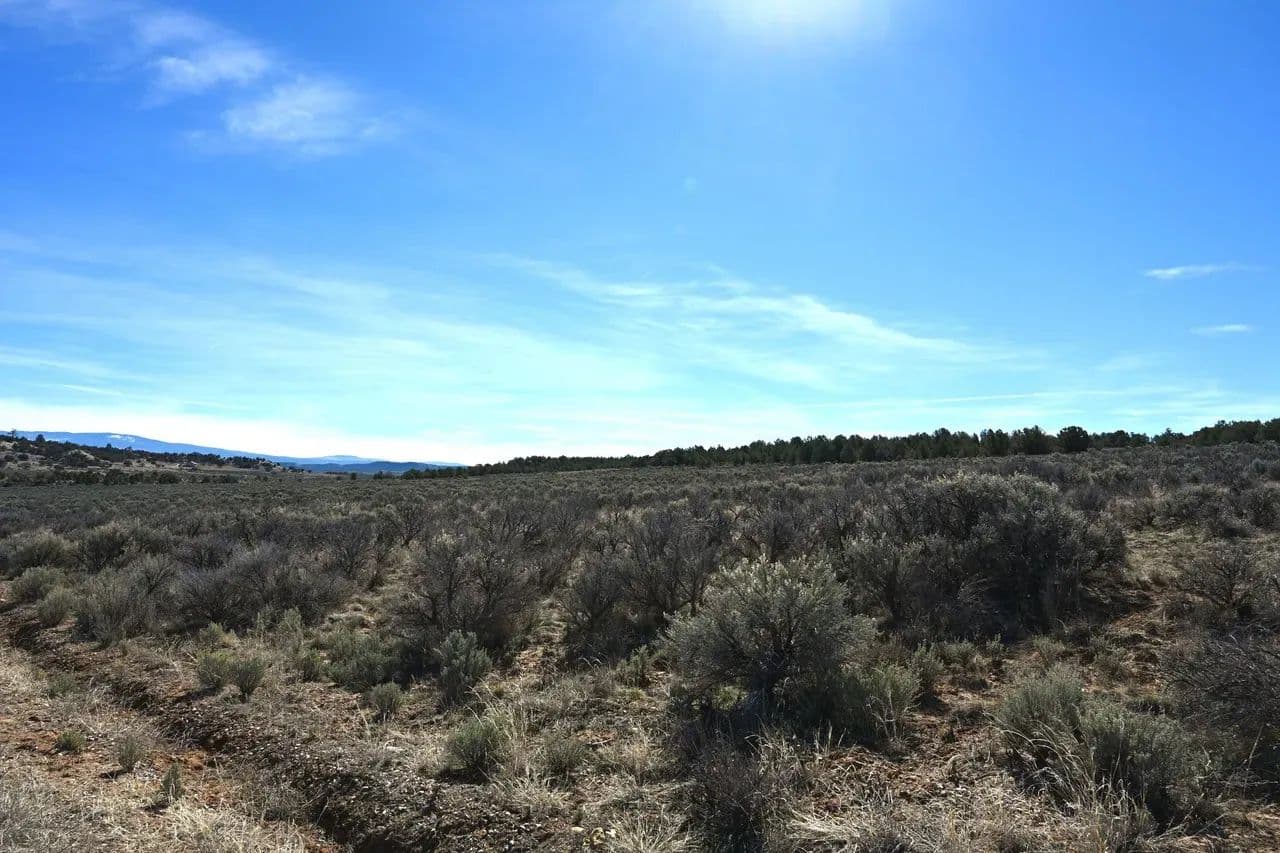 EL VADO 20 - Tierra Amarilla, New Mexico, 87575