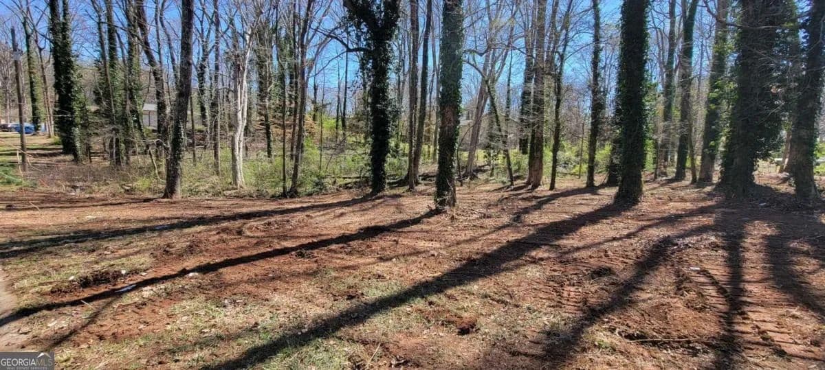 Vacant Land in Douglasville - Douglasville, Georgia, 30135