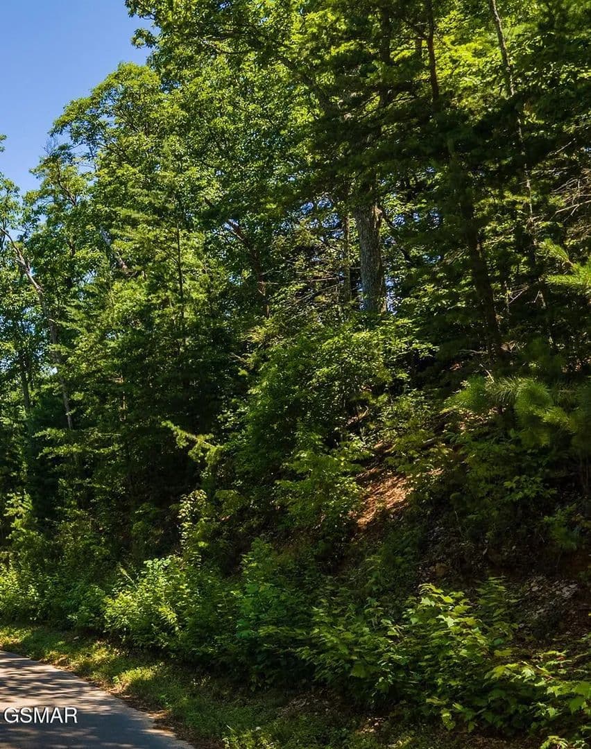 Property from Lot 1 Norton Creek - KW - Gatlinburg, Tennessee, 37738
