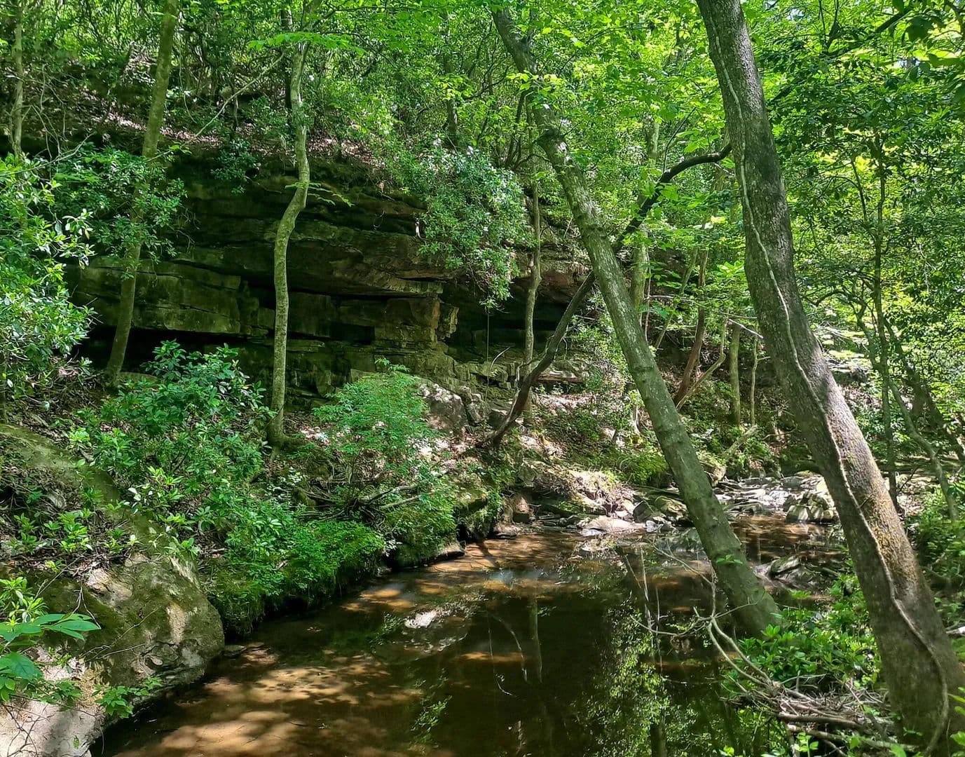 Property from TOMMY MCGOUGH Rd - KW - Carbon Hill, Alabama, 35549