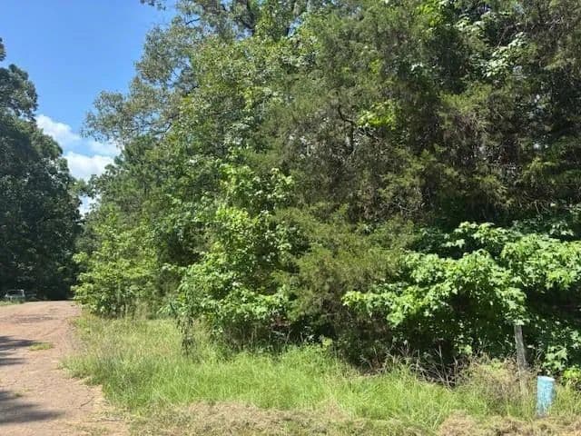Vacant Land (0-10 Acres) in Mount Vernon - Mount Vernon, Texas, 75457