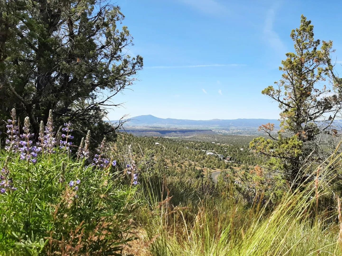 Property from SE Night Hawk Court - KW - Prineville, Oregon, 97754