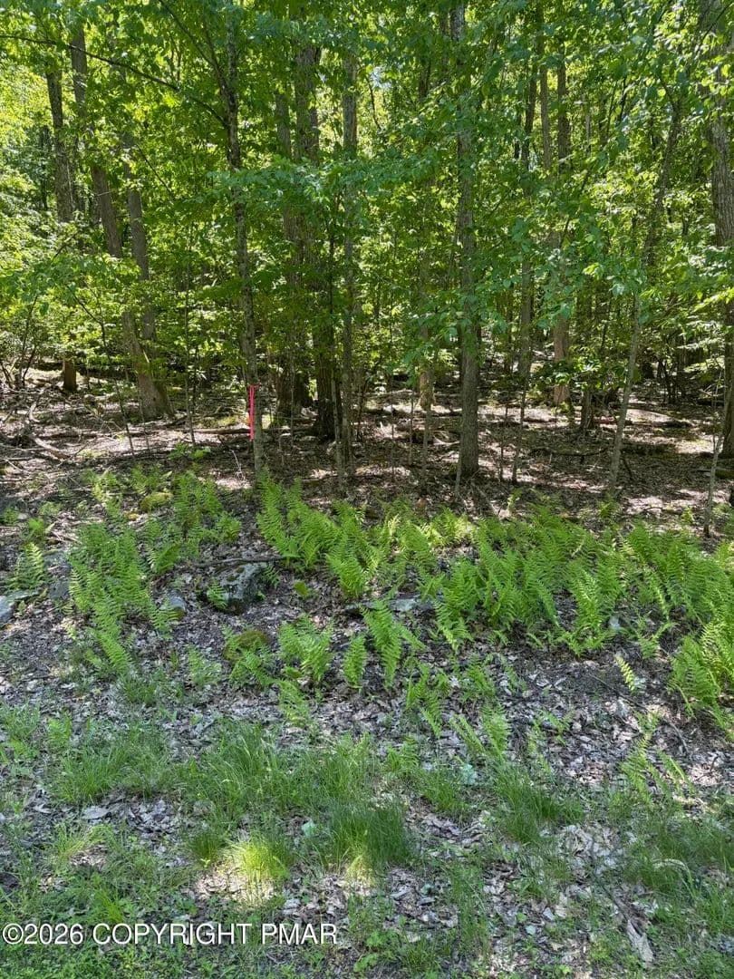 Property from Paper Birch N - KW - Tafton, Pennsylvania, 18464