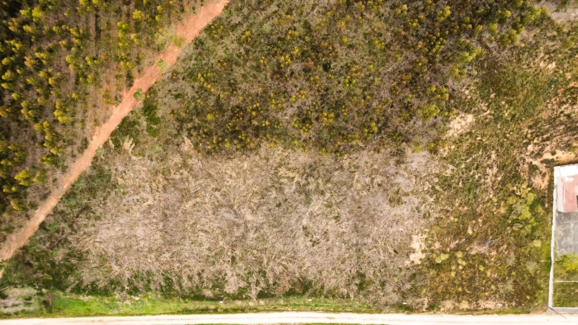 1180 Acres of Land for Sale in Campelos e Outeiro da Cabeça, Torres Vedras - land for sale