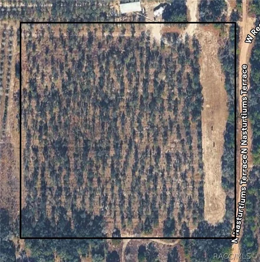 Property from 8308 N Nasturtiums Terrace - KW - Dunnellon, Florida, 34433