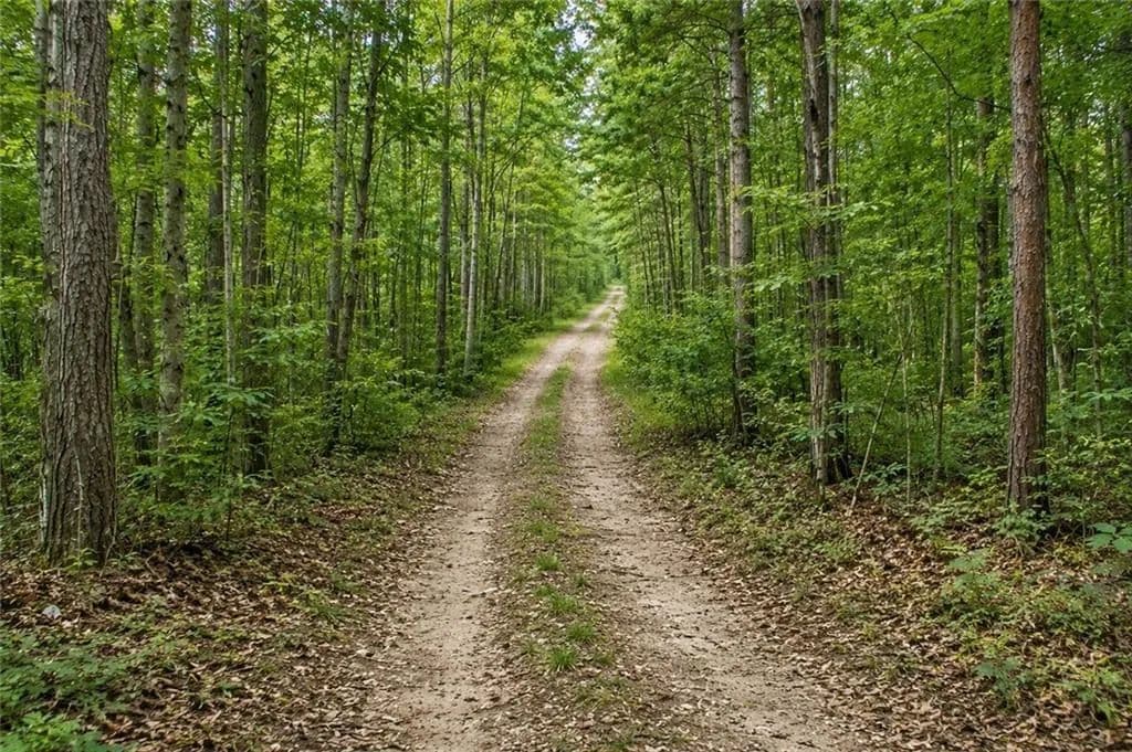 0.85 Acres of Land for Sale in Dawsonville, GA - Dawsonville, Georgia, 30534