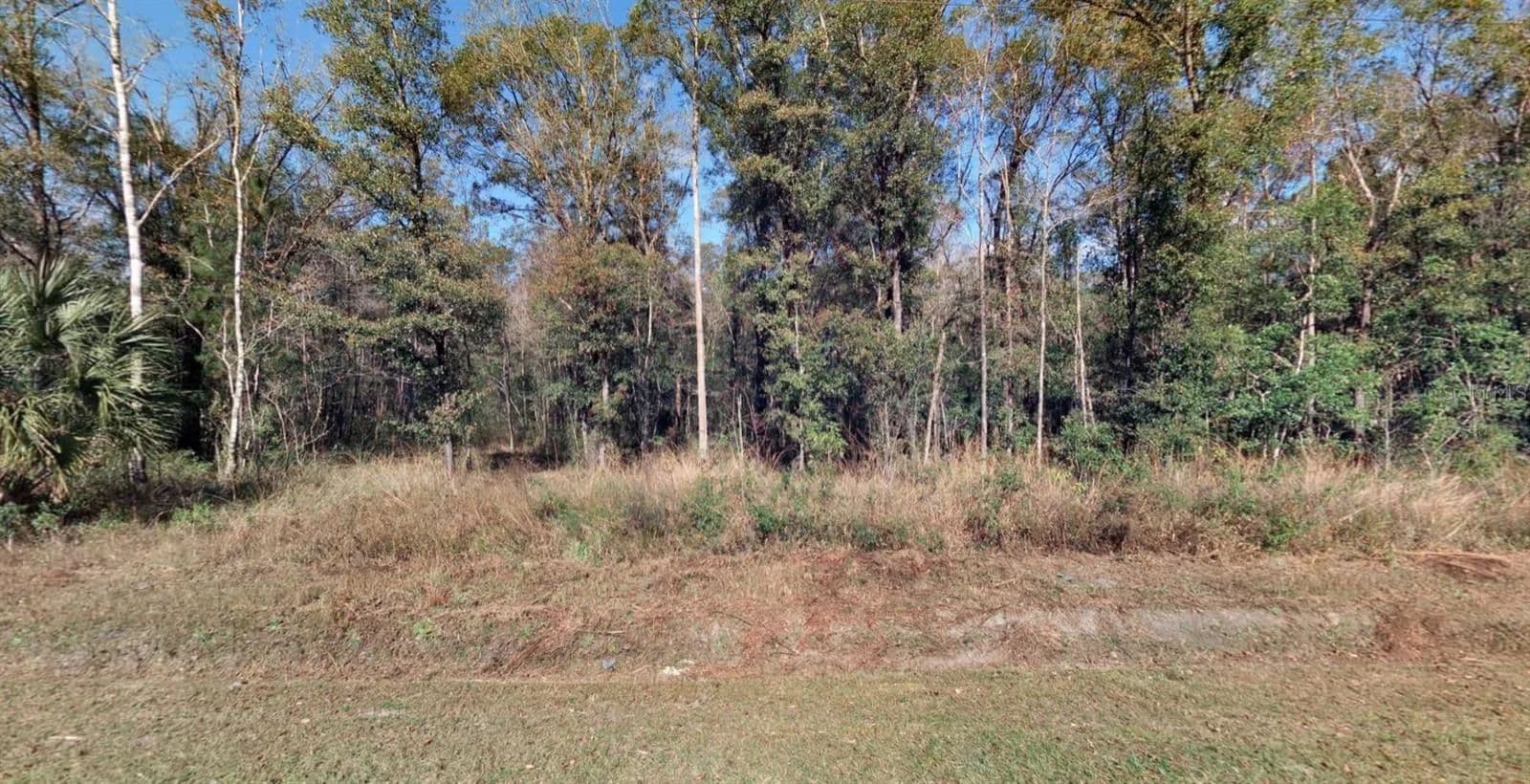 Property from 4720 JONATHAN STREET - KW - Hastings, Florida, 32145