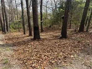 Property from Lot 11 and 12 Entry Road - KW - Ridgedale, Missouri, 65739