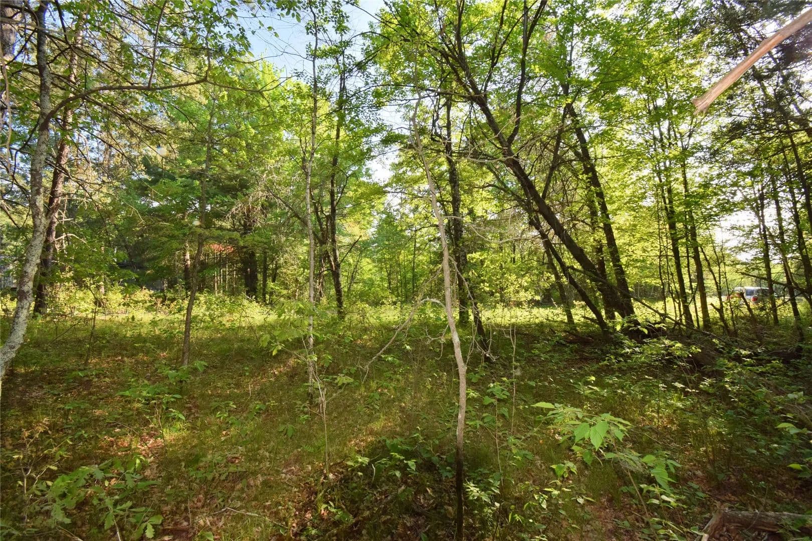 0.53 Acres of Land for Sale in Danbury, Wisconsin - Danbury, Wisconsin, 54830