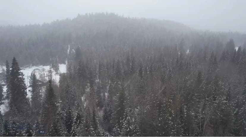 Property from 121 Twin Creek - KW