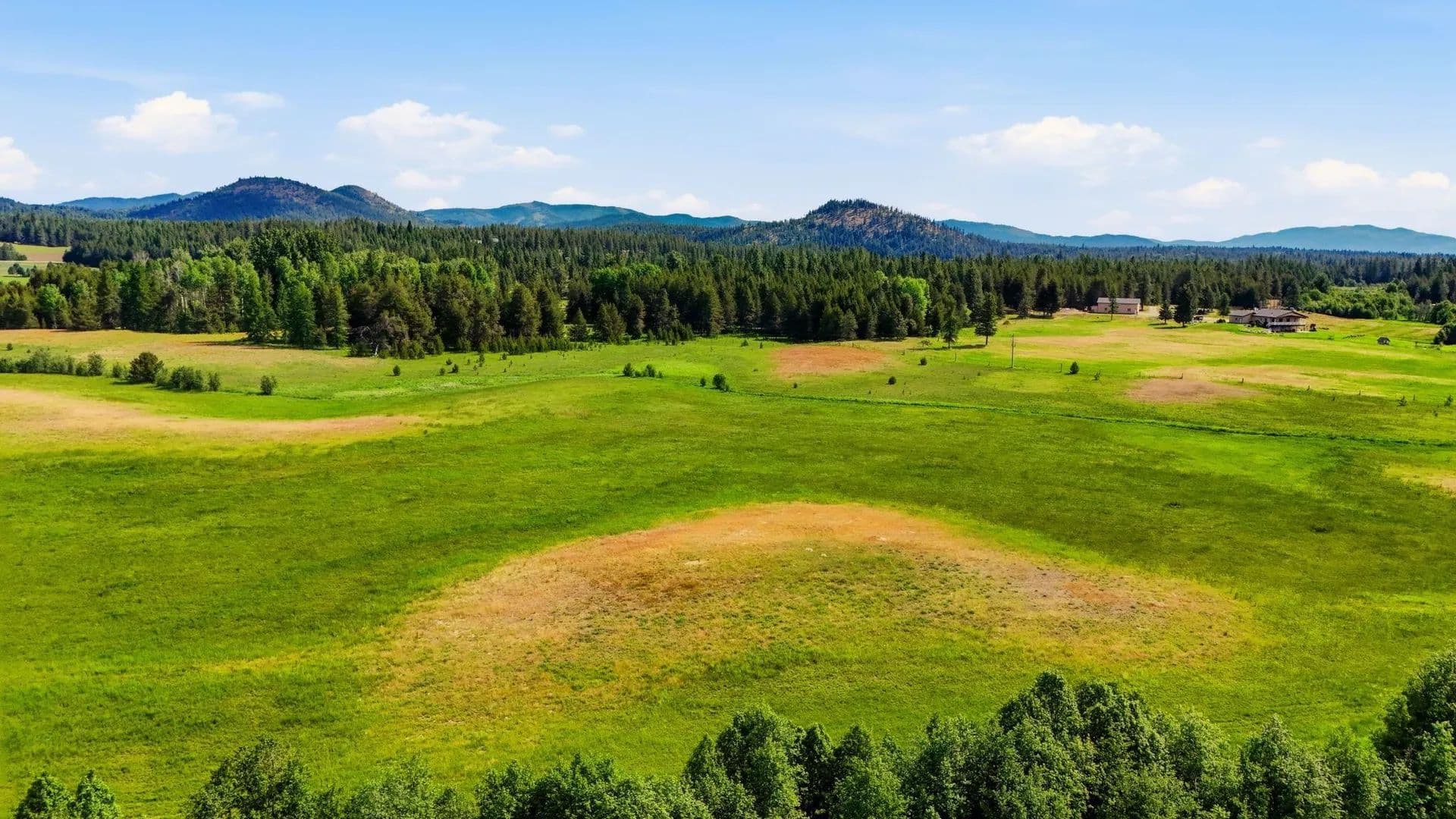 40 Acres of Land for Sale in Newport, Washington - Newport, Washington, 99156