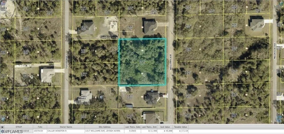 Property from 1317 Williams Avenue - KW - Lehigh Acres, Florida, 33972