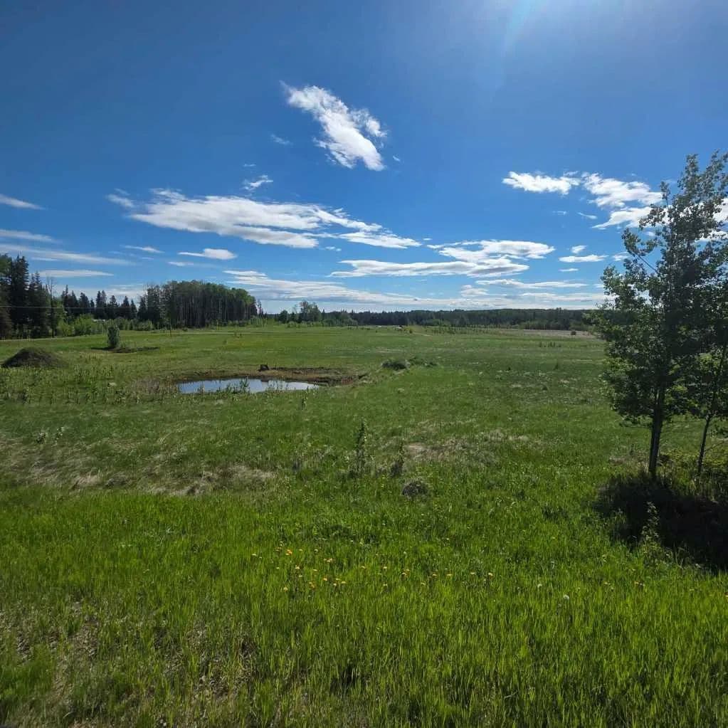 Property from Lot 4 Range Road 175 - KW - land for sale