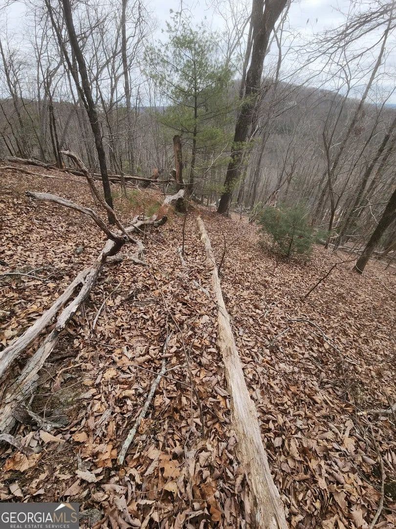 Property from LOT #14 Little Eagle Mtn Mountain - KW - Clarkesville, Georgia, 30523