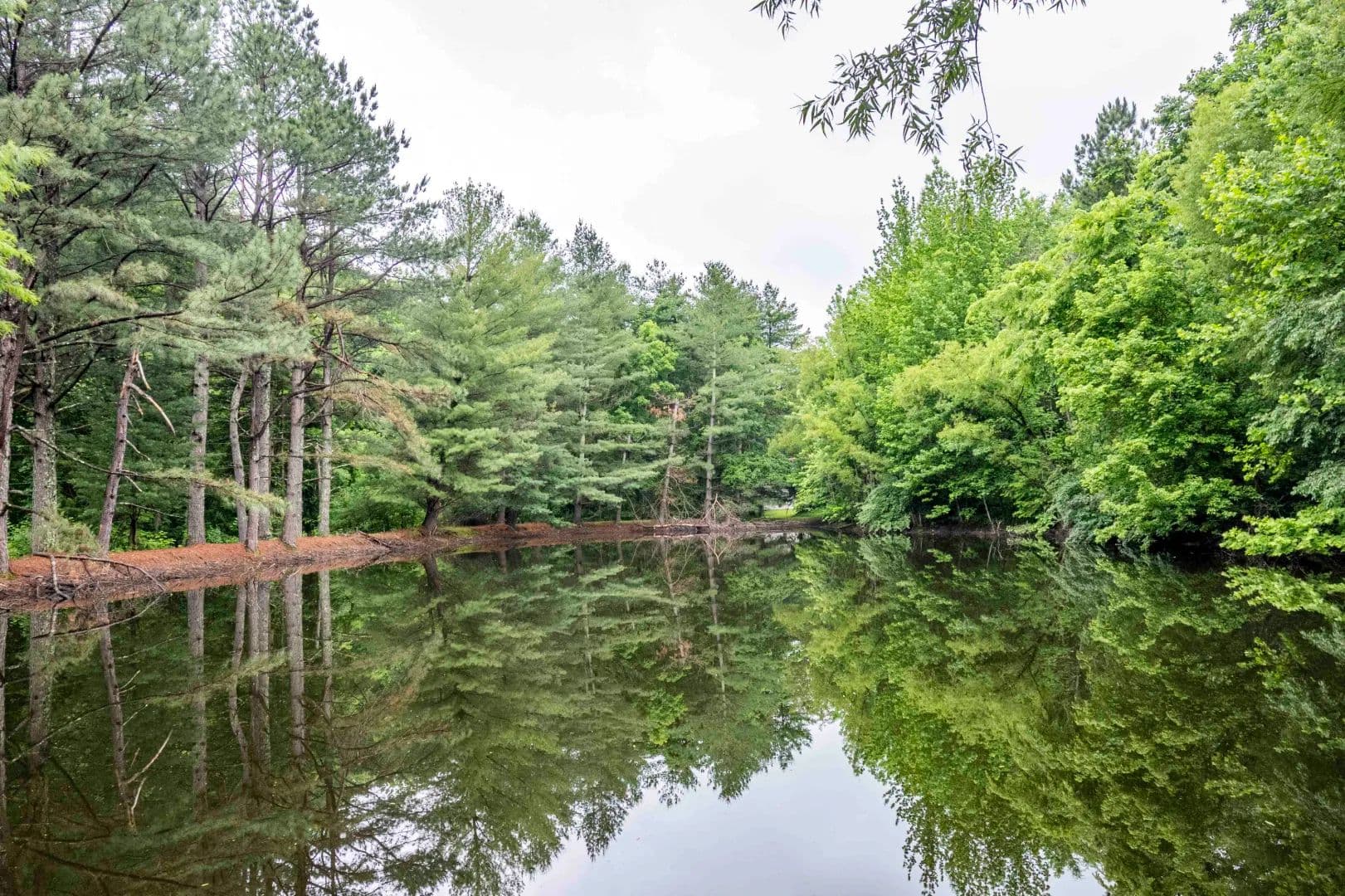 Secluded Home on 7± Acres with Two Ponds & Prime Hunting - Alexander County - Tamms, Illinois, 62988