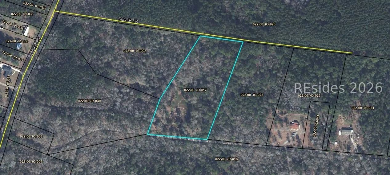 Land for Sale in Pineland, SC - Pineland, South Carolina, 29934