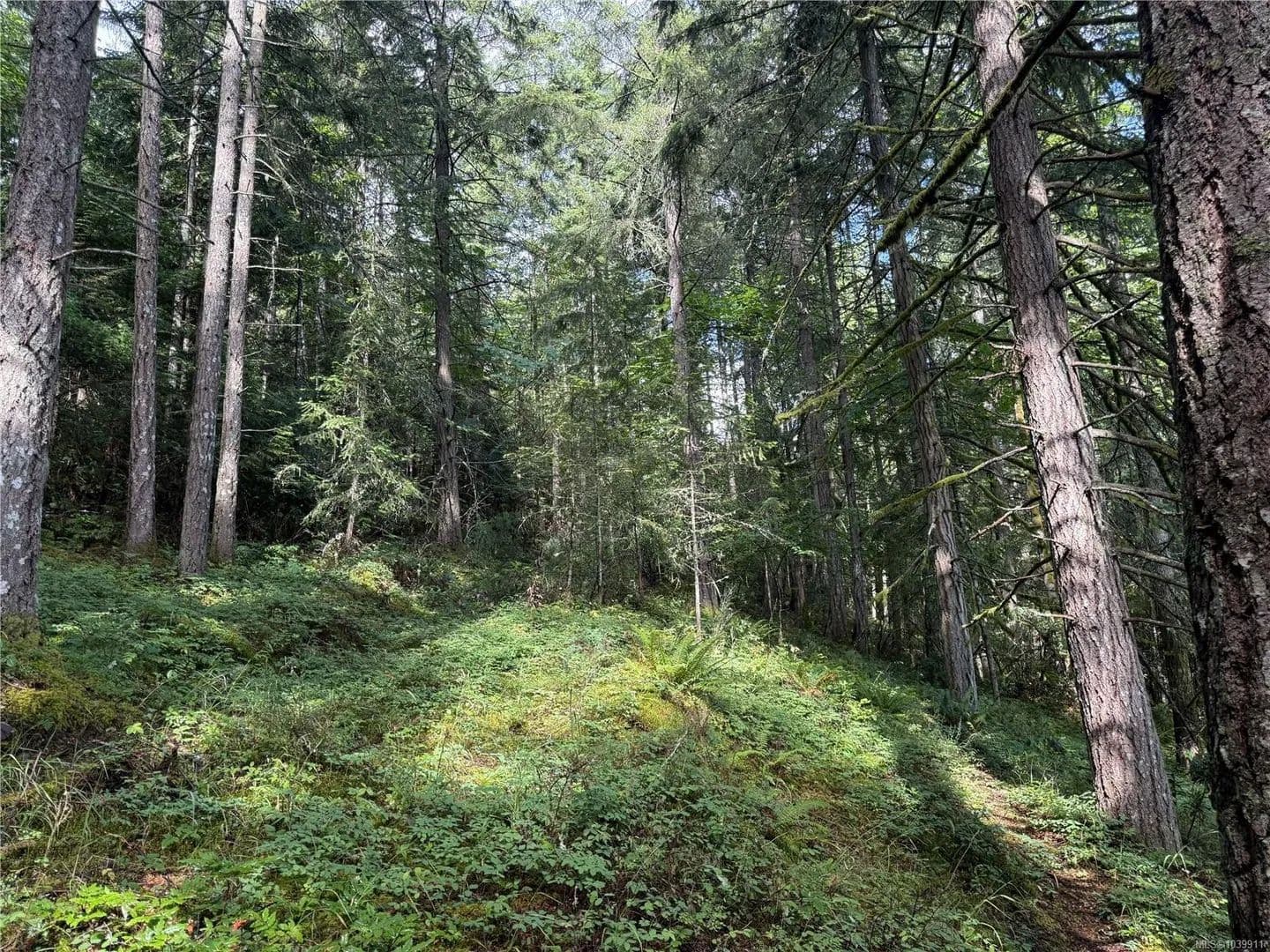 Property from DL106 Grouhel Rd ##part - KW - land for sale