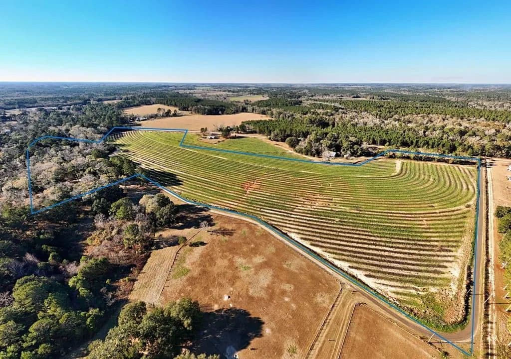Lots & Land-Other in Whigham - Whigham, Georgia, 39897