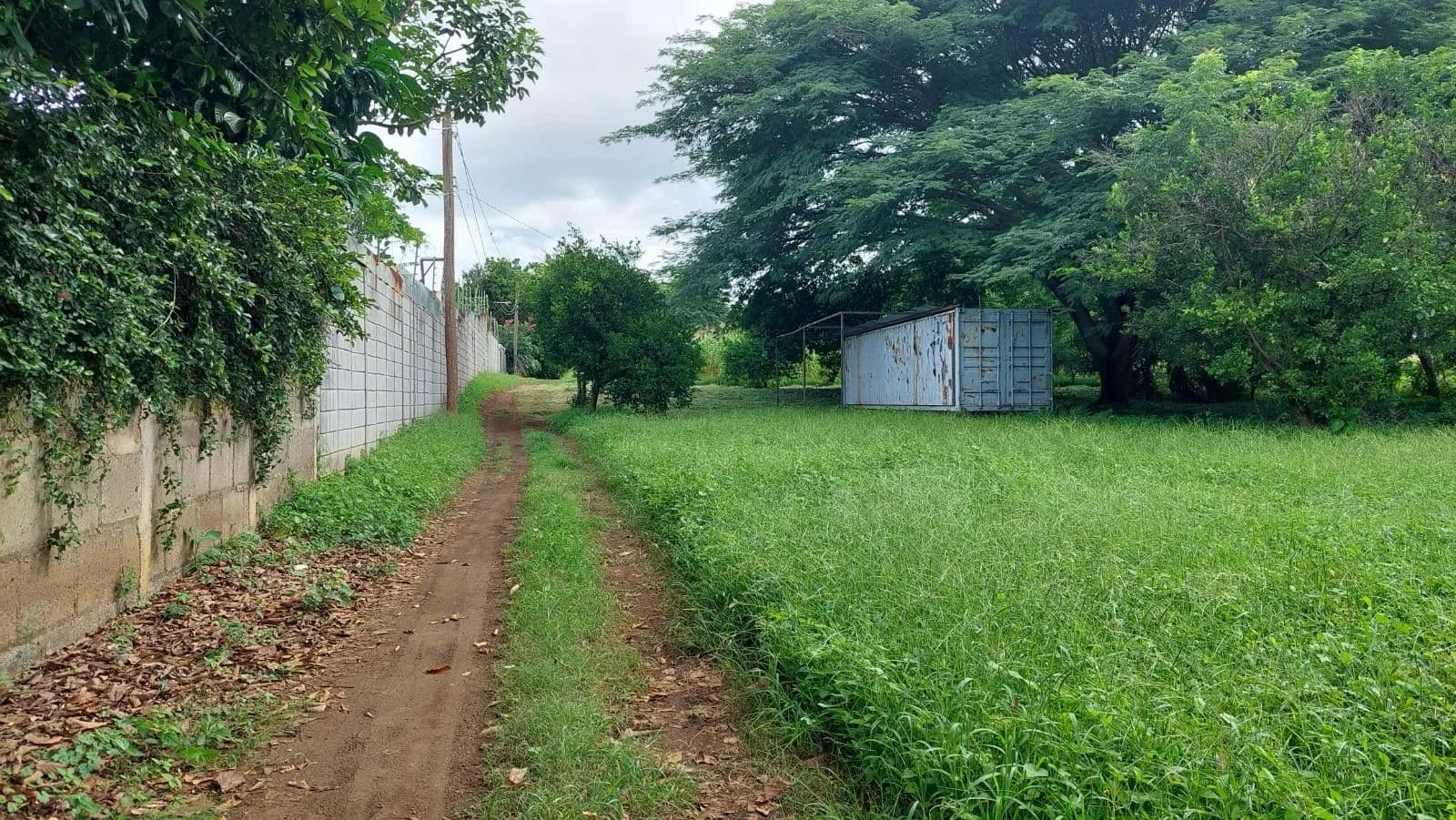 Se Vende! Terreno amplio Camino a Nuevo Millenium. Veracruz. - land for sale