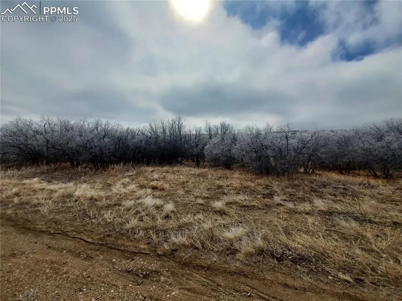 Lots & Land-Other in Colorado City
