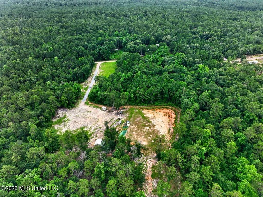 46 Acres of Land for Sale in McHenry, MS - Mchenry, Mississippi, 39561