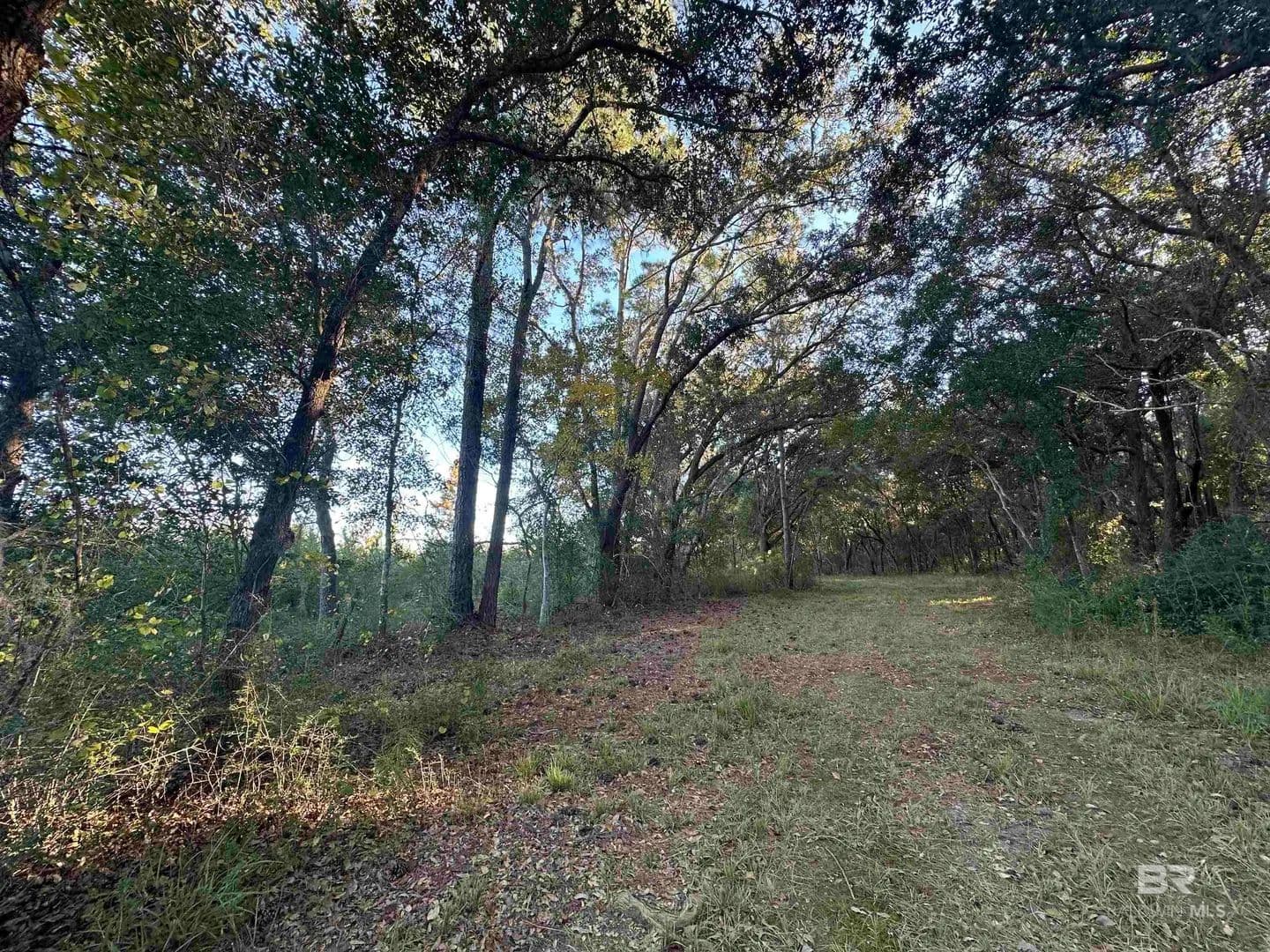 Property from 0 Benton Road - KW - Foley, Alabama, 36535