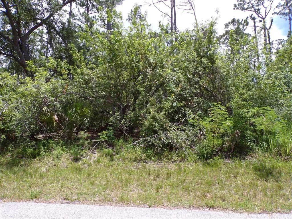 Vacant Land in Port Charlotte - land for sale