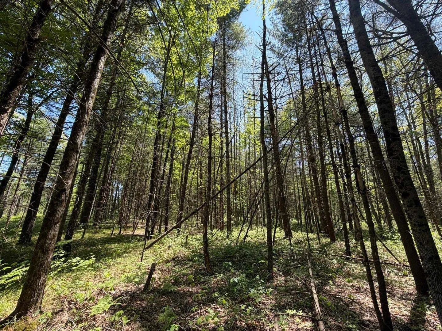 Property from V/L US-10 - KW - Michigan, 49642