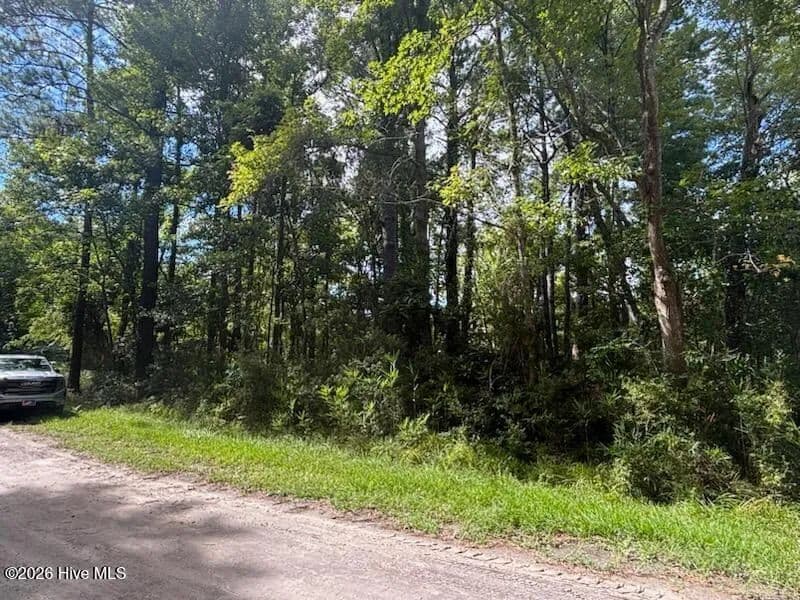 Vacant Land in Newport - Newport, North Carolina, 28570