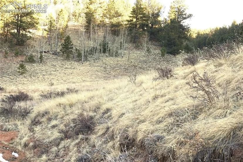 Lots & Land-Other in Divide