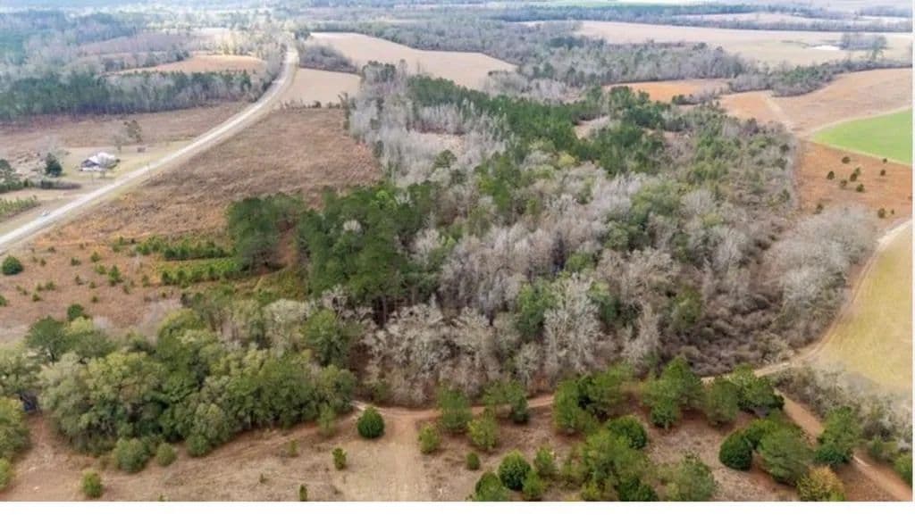 Property from 112 County Road - KW - Columbia, Alabama, 36319