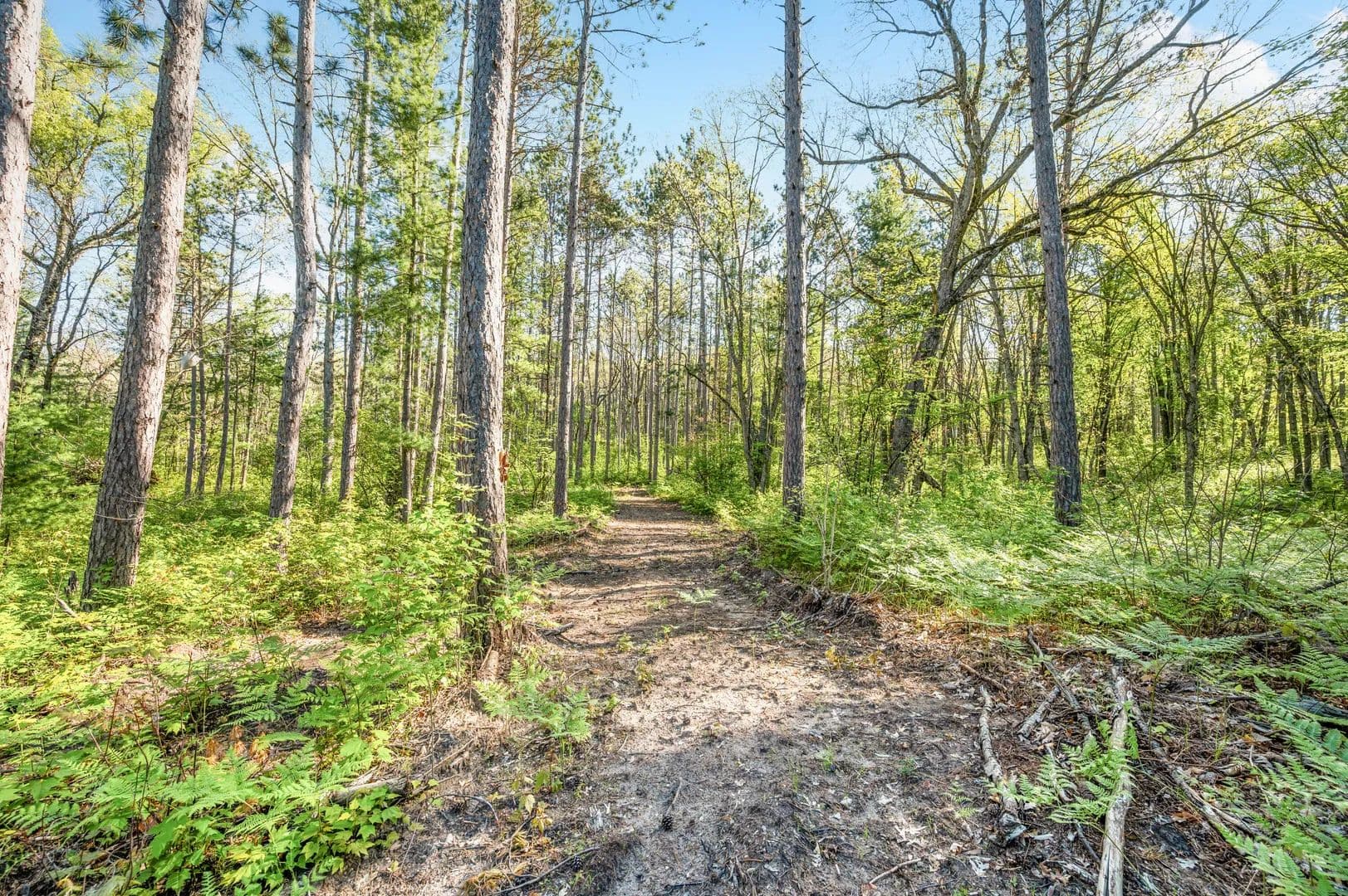Property from V/L Nelson St - KW - Baldwin, Michigan, 49304