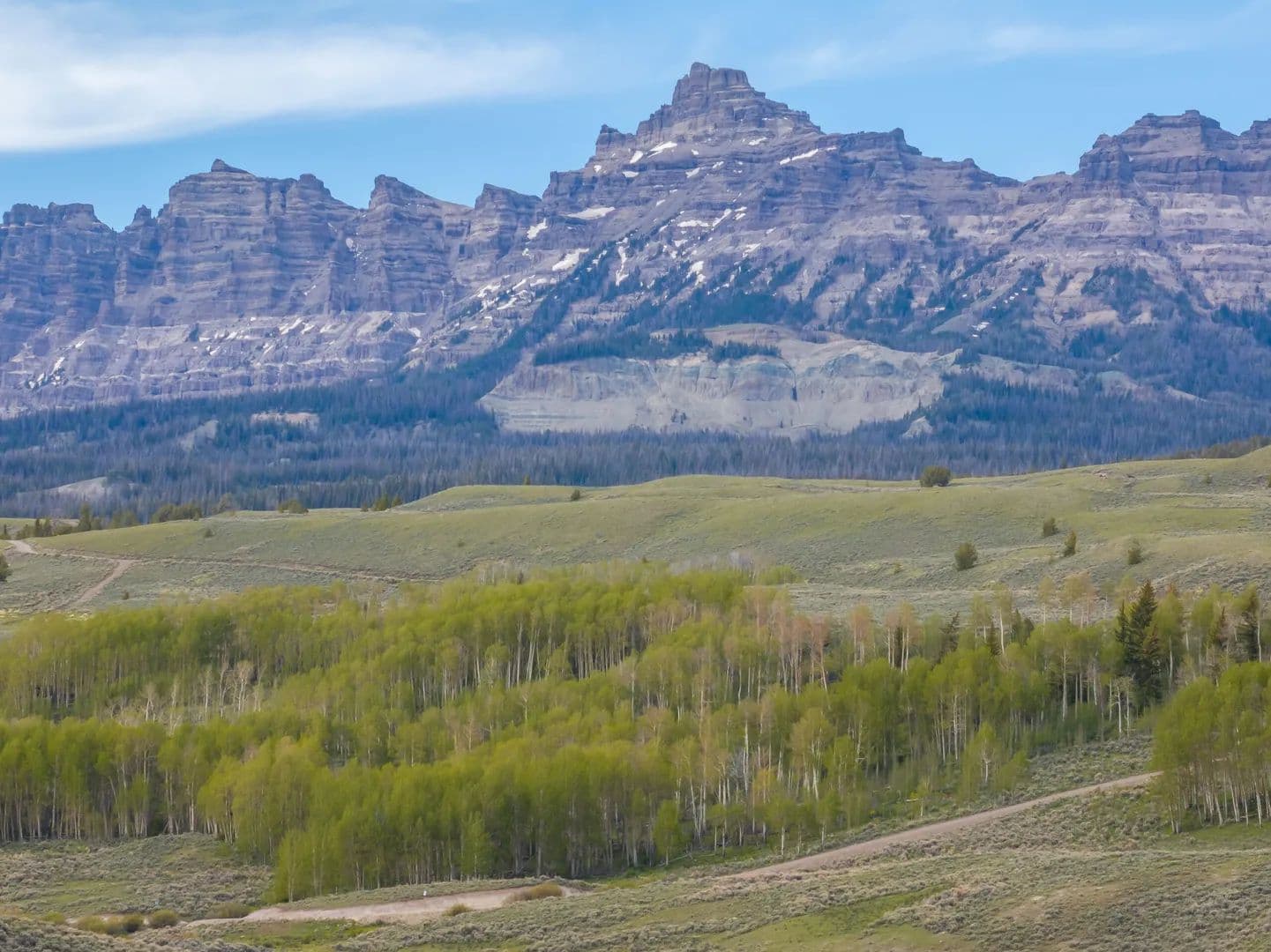 Ramshorn Aspen Reserve - Dubois, Wyoming, 82513
