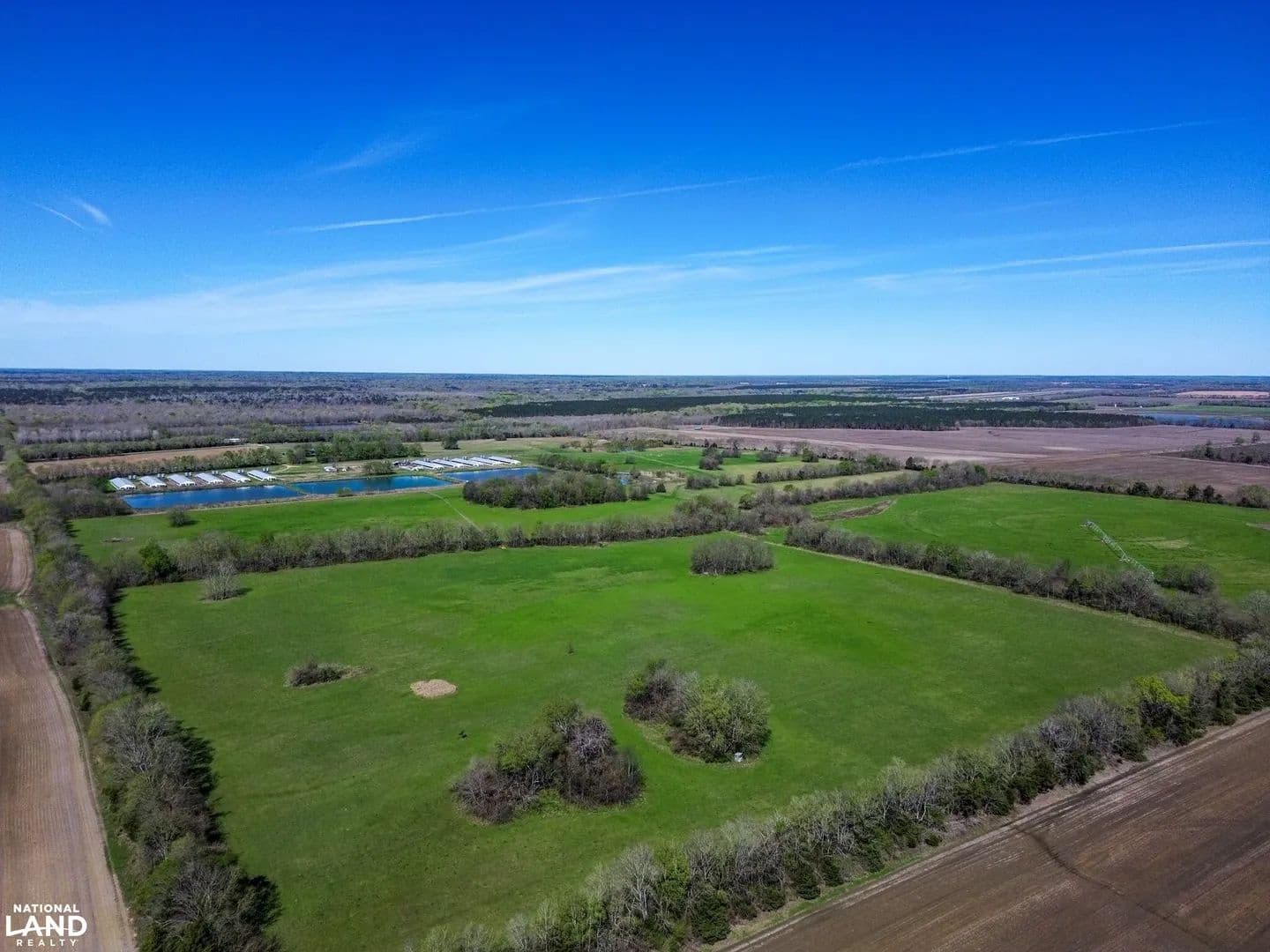 Browns Pasture and Hunting Tract - Browns, Alabama, 36759