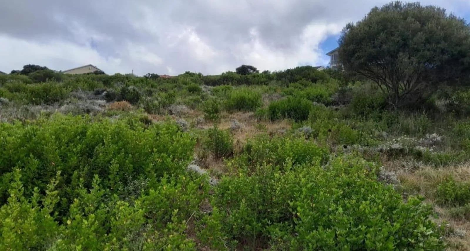 1020 Acres of Land for Sale in Mossel Bay, Western Cape - South Africa