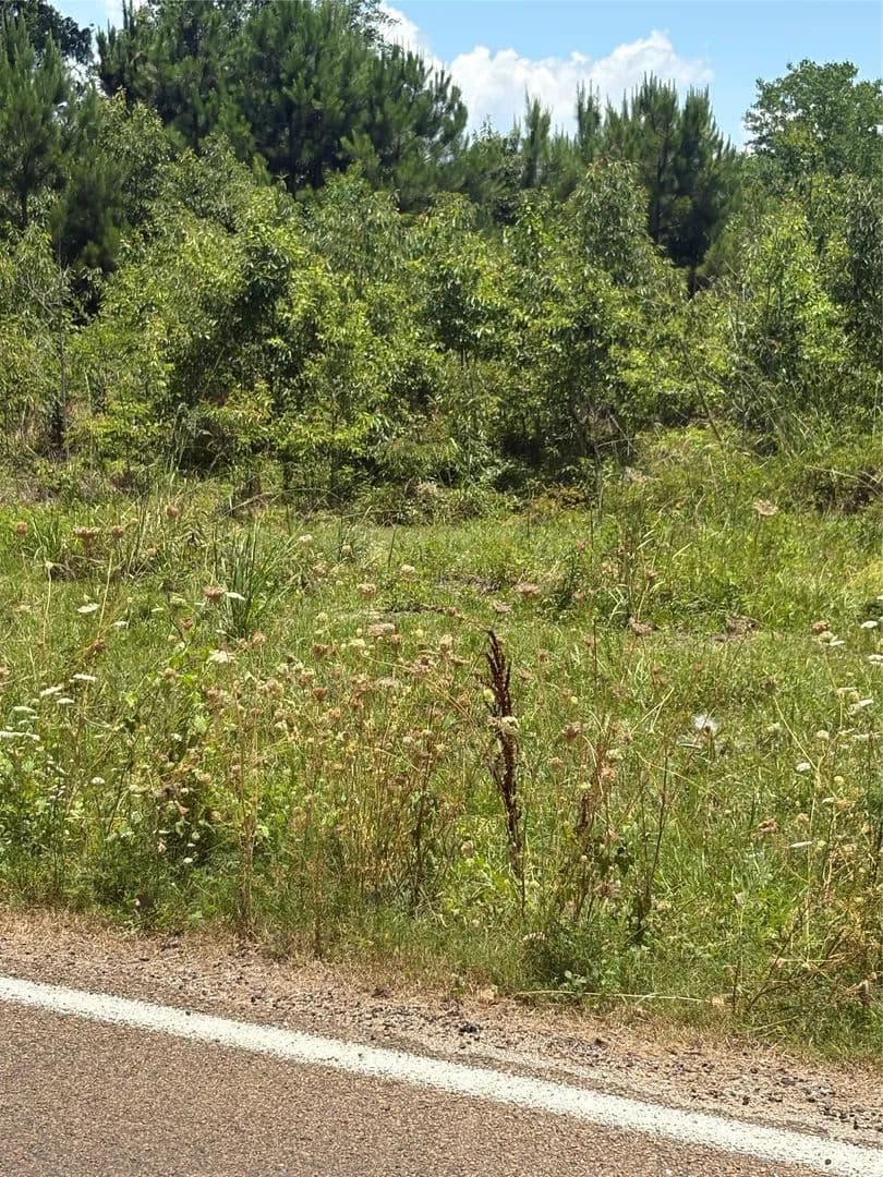 0.23 Acres of Land for Sale in Point Blank, Texas - Point Blank, Texas, 77364