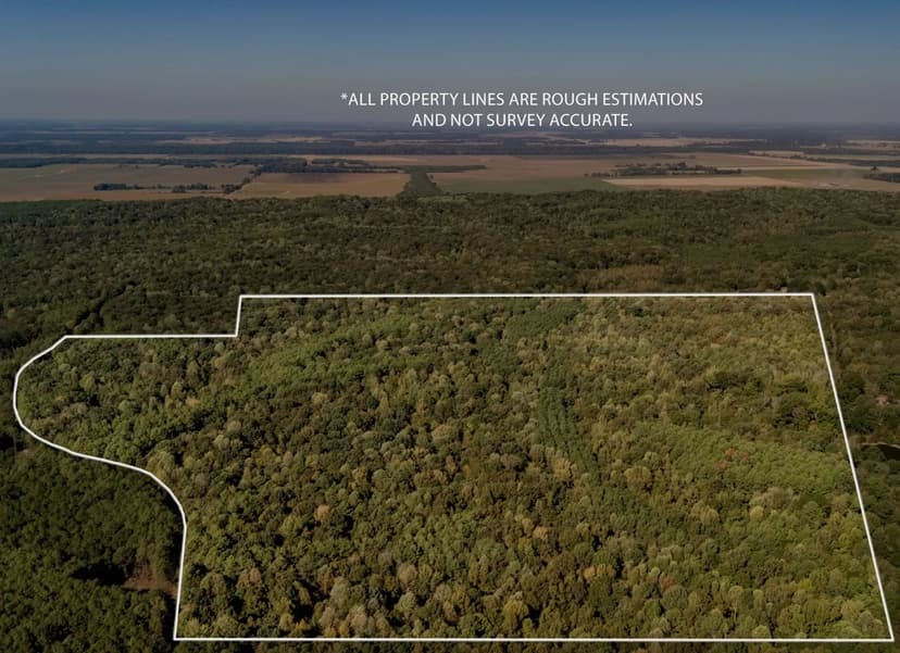 110 Acres in Tallahatchie County in Charleston, MS
