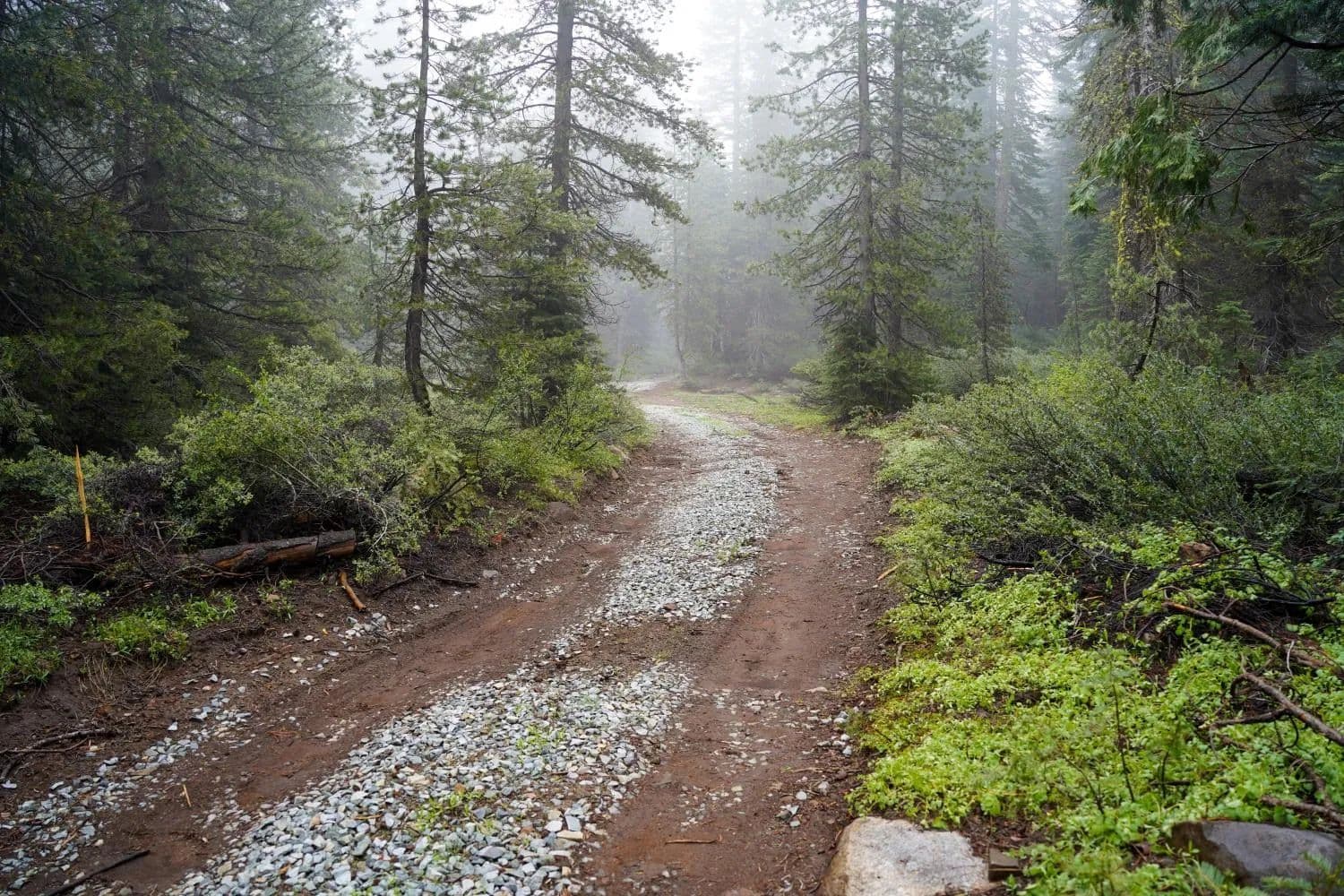 Property from 19746 Marsh Mill Road - KW - Nevada City, California, 95959