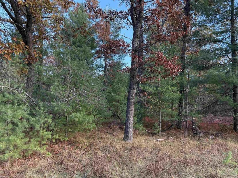 Property from Lot 99 Wilderness - KW