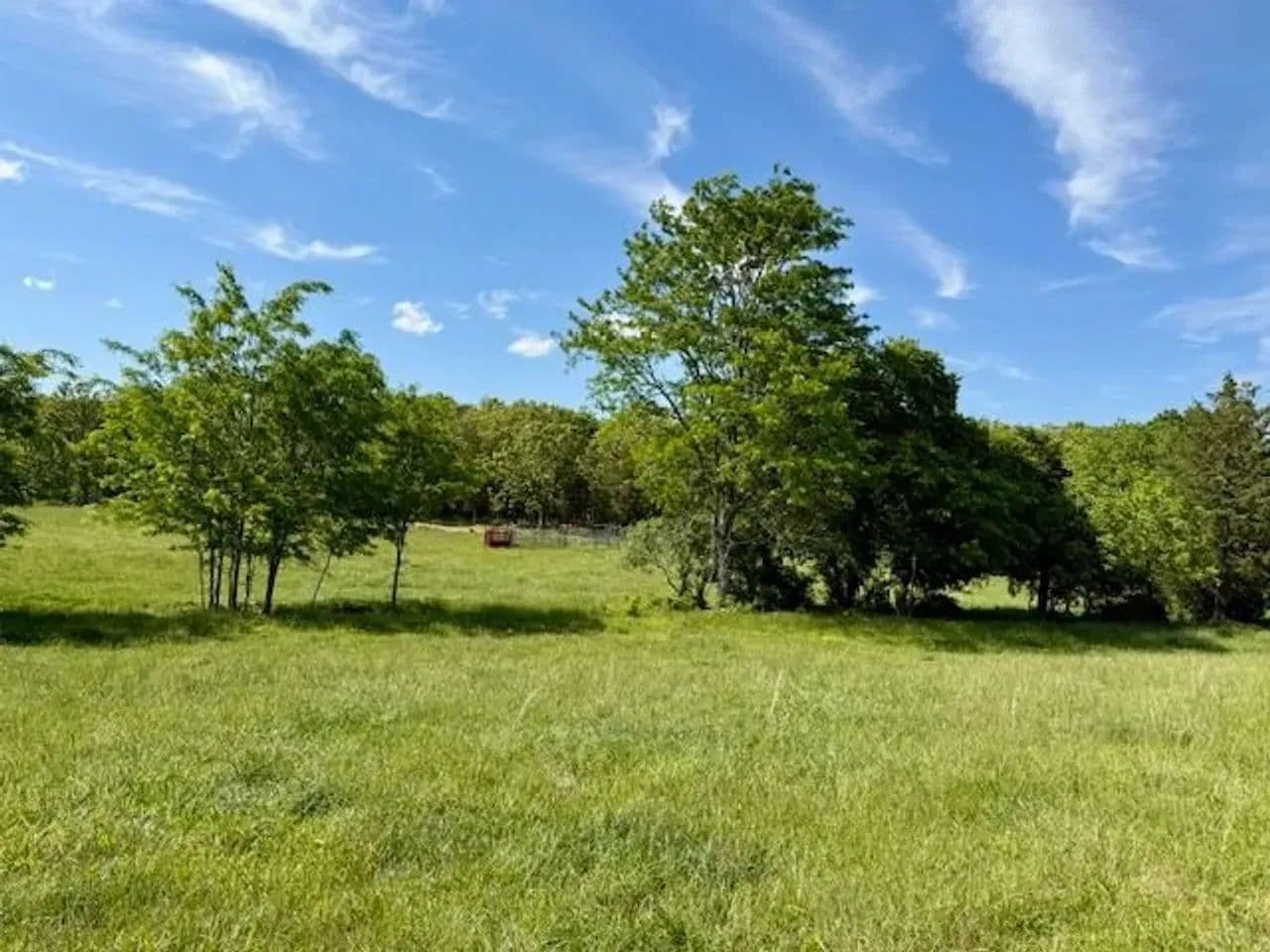 39.32 Acres, Pastures, Cattle Pens, Drilled Well, Texas County - Summersville, Missouri, 65571
