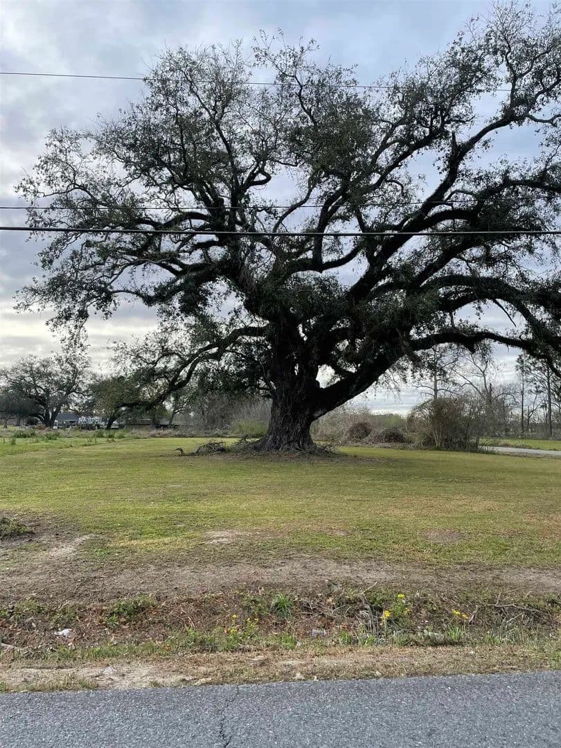 0.51 Acres of Land for Sale in Napoleonville, Louisiana - Napoleonville, Louisiana, 70390