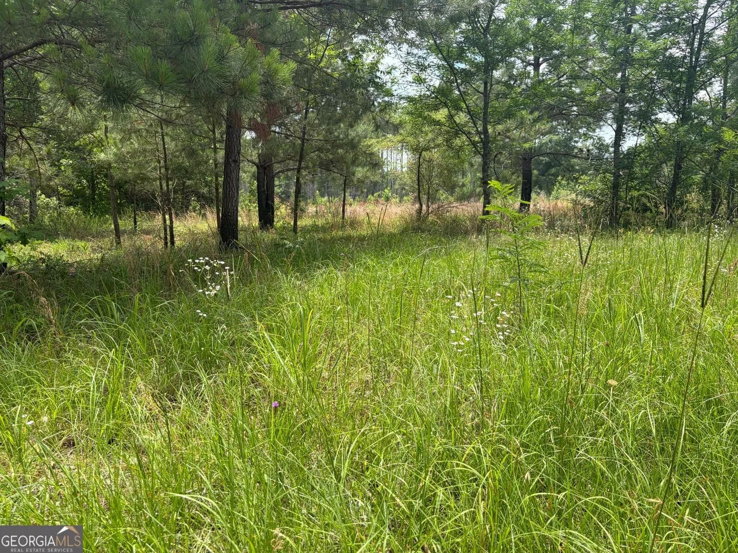 Property from 6 Sunhill Grange Road - KW - Davisboro, Georgia, 31018