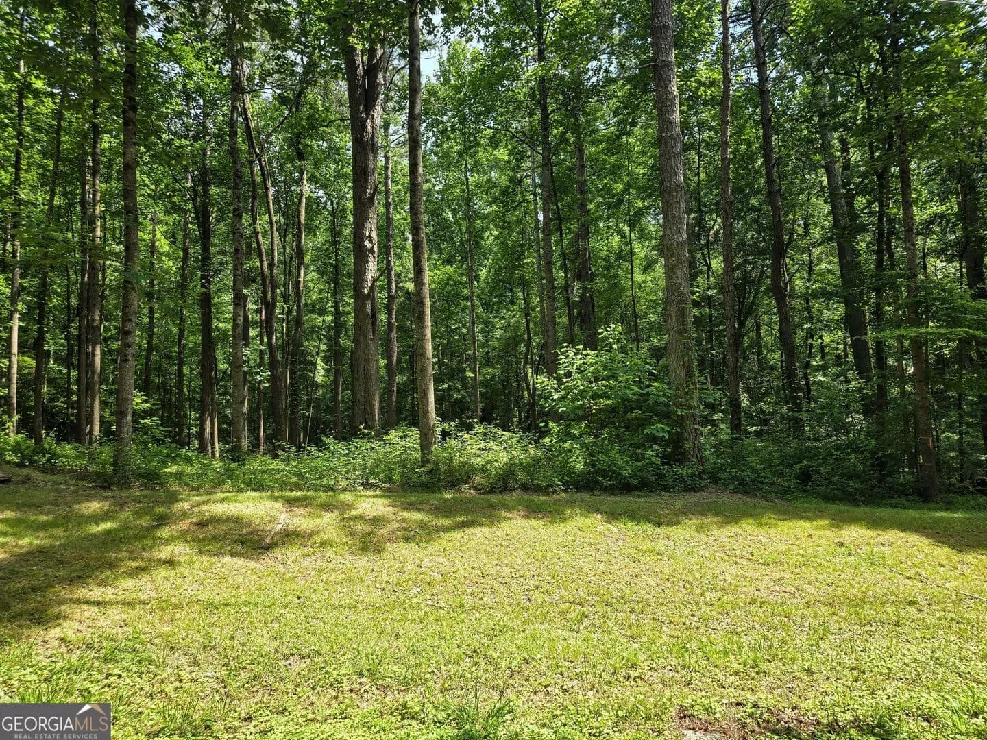 Property from 5 LOTS Rome St. & Driver St. - KW - Temple, Georgia, 30179