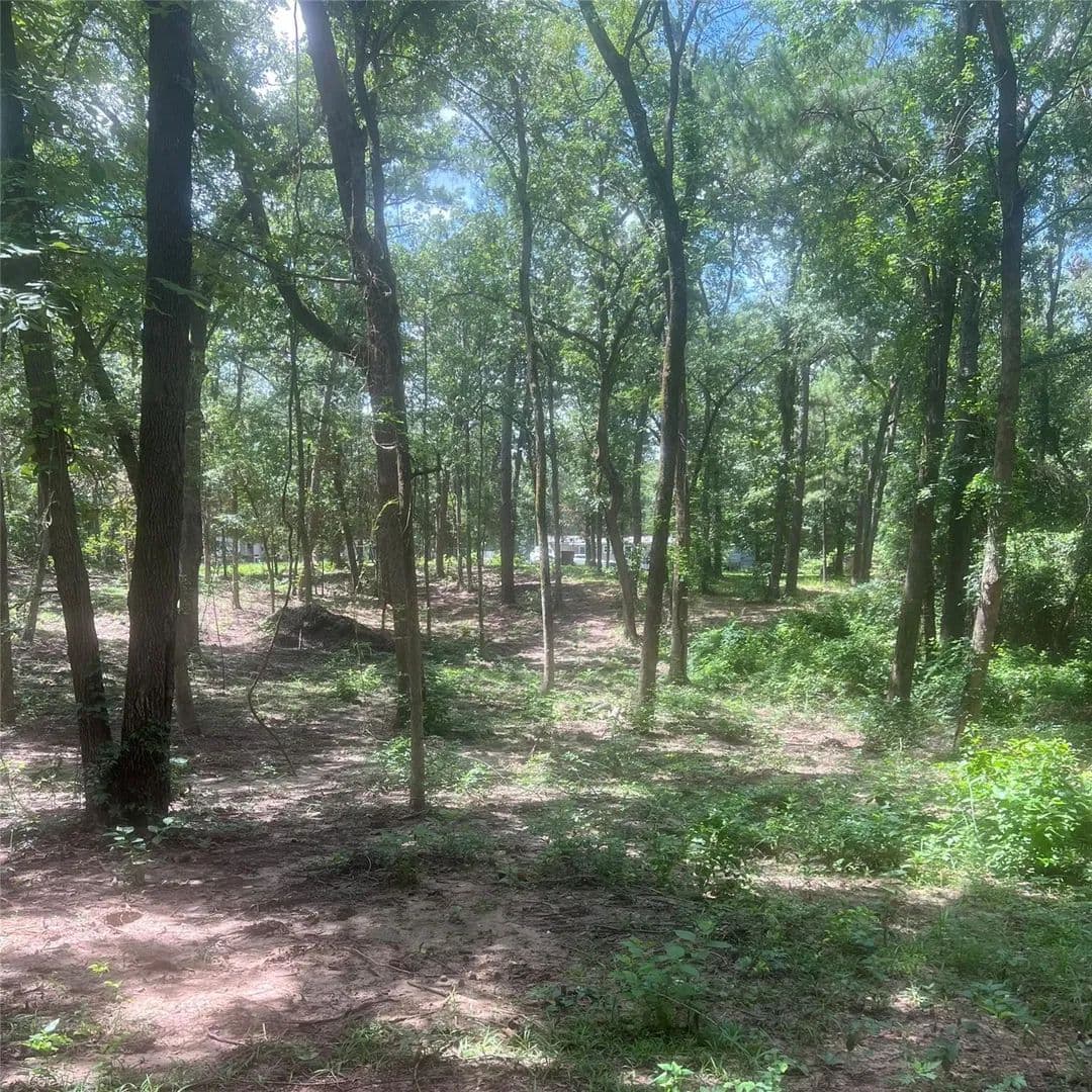 Vacant Land (0-10 Acres) in Mount Vernon - Mount Vernon, Texas, 75457